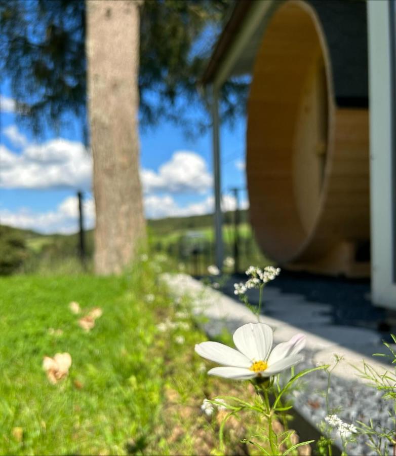 Chalet Panor'Anna St. Vith Εξωτερικό φωτογραφία